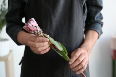 Male florist holding beautiful flower, closeup