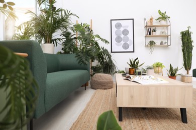 Photo of Living room interior with modern furniture and houseplants