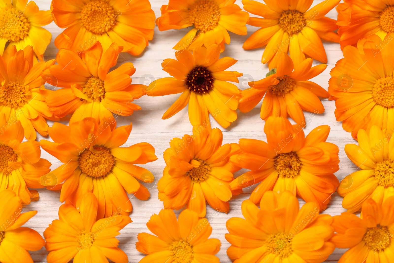 Photo of Beautiful calendula flowers on white wooden table