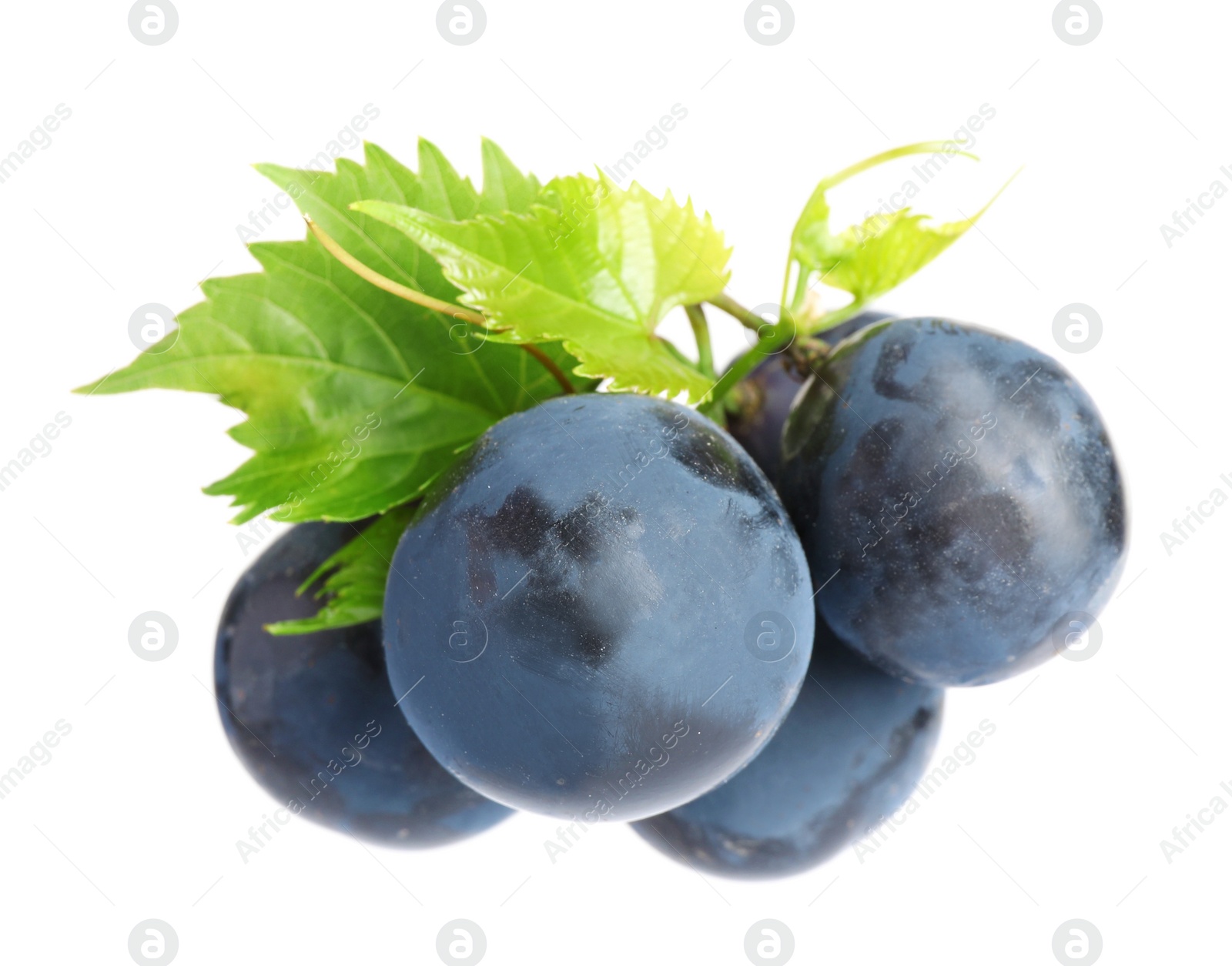 Photo of Fresh ripe juicy black grapes isolated on white