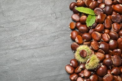 Photo of Fresh sweet edible chestnuts on black slate table, flat lay. Space for text