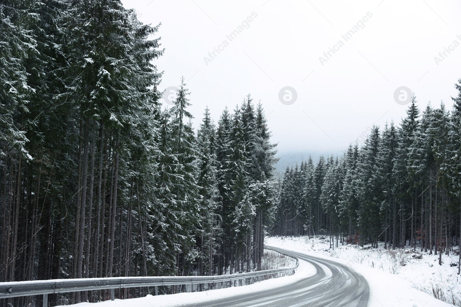 Photo of Beautiful landscape with conifer forest and road on snowy winter day