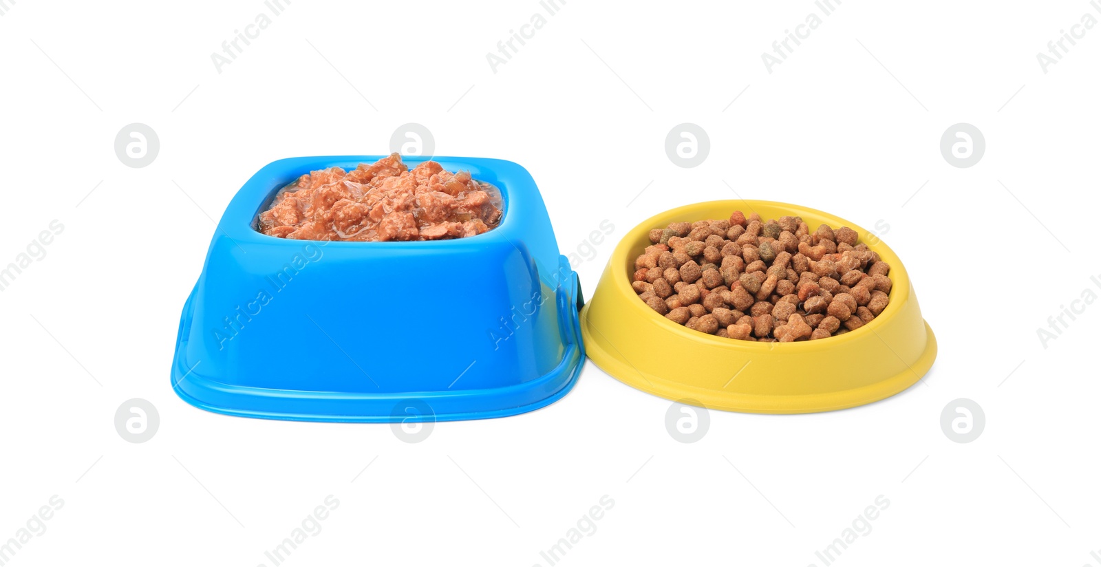 Photo of Dry and wet pet food in feeding bowls isolated on white