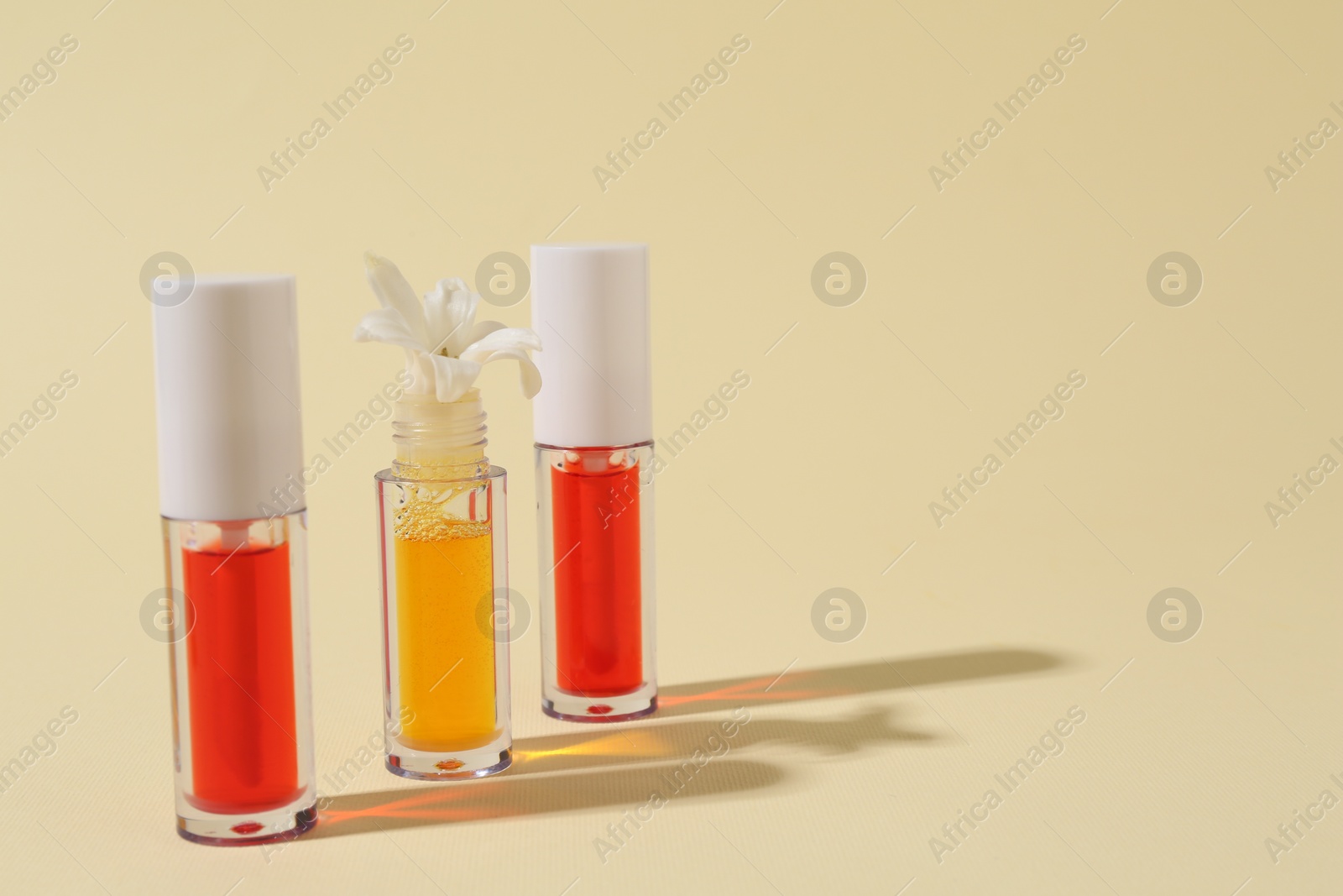 Photo of Bright lip glosses and flower on beige background, space for text