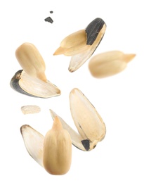 Sunflower seeds with hull flying on white background 