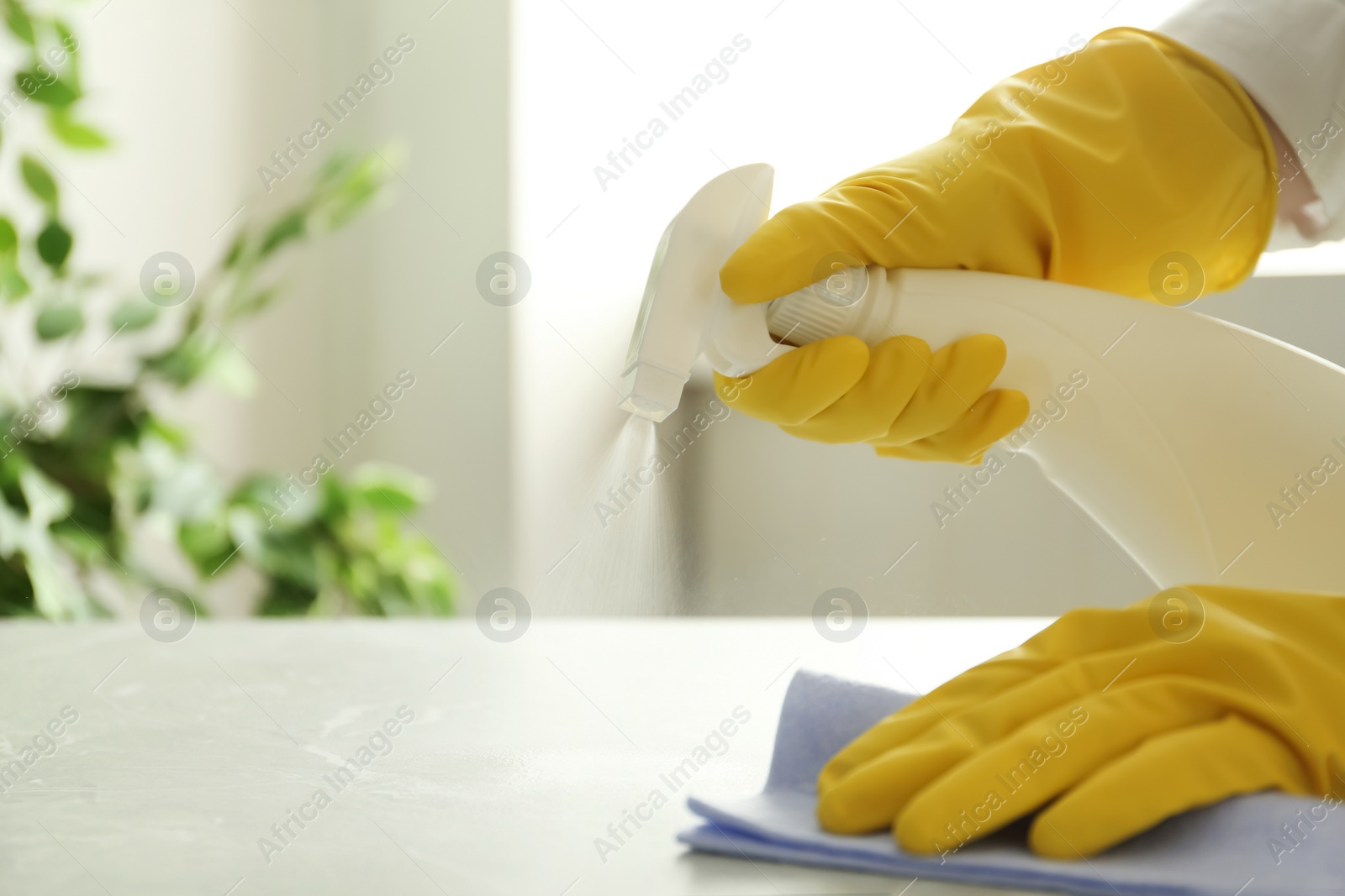 Photo of Woman in gloves cleaning grey table with spray detergent and rag indoors, closeup