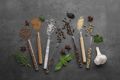 Flat lay composition with various spices, test tubes and fresh herbs on grey background