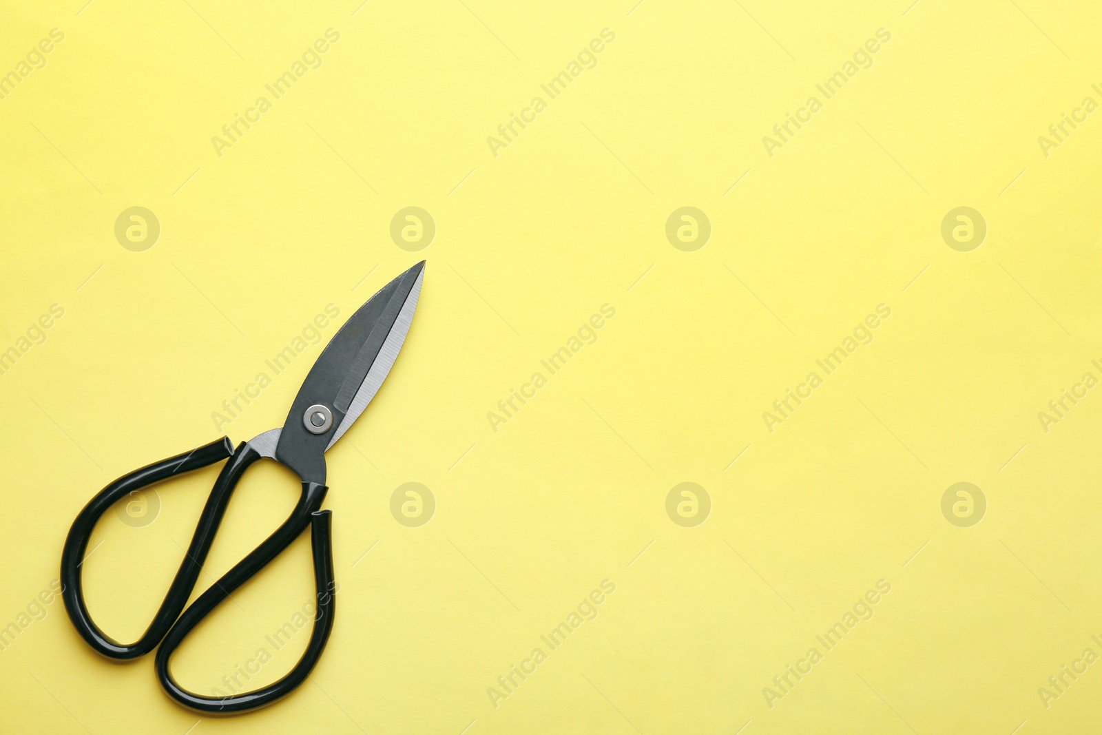 Photo of Pair of sharp scissors on color background, top view. Space for text