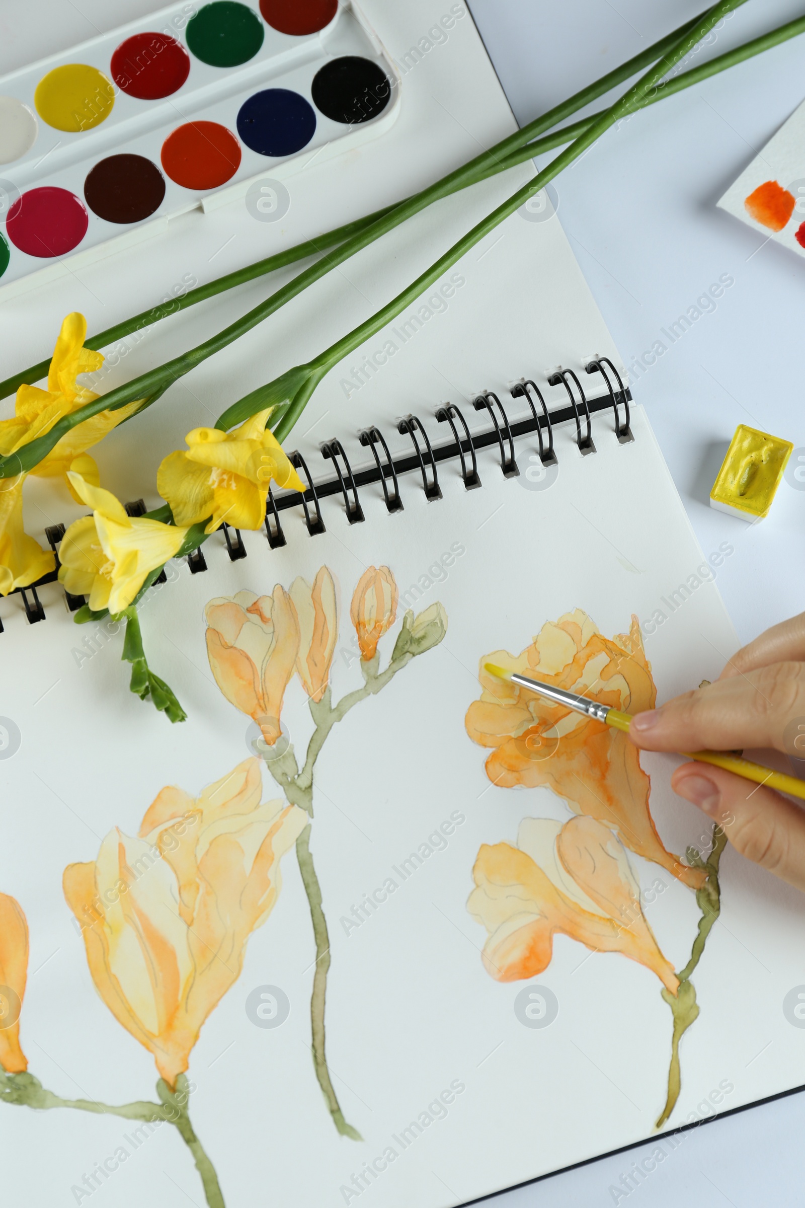 Photo of Woman painting freesias in sketchbook at white table, top view