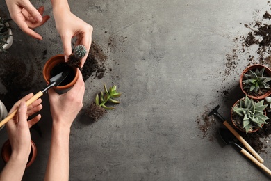 Photo of Women transplanting home plants on grey background, top view. Space for text