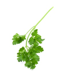 Leaves of fresh tasty parsley on white background, top view