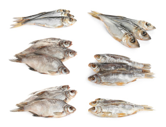 Image of Set of tasty dry fish on white background