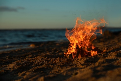Beautiful bonfire with burning firewood on sandy beach in evening, space for text