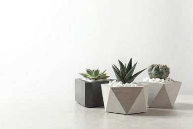 Photo of Beautiful succulent plants in stylish flowerpots on table against white background, space for text. Home decor
