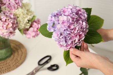 Photo of Woman holding beautiful hydrangea flower indoors, closeup. Interior design element