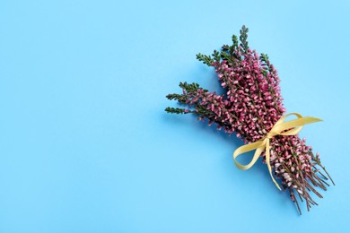 Bunch of heather branches with beautiful flowers and ribbon on light blue background, top view. Space for text