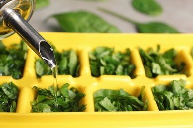 Pouring oil into ice cube tray with spinach, closeup