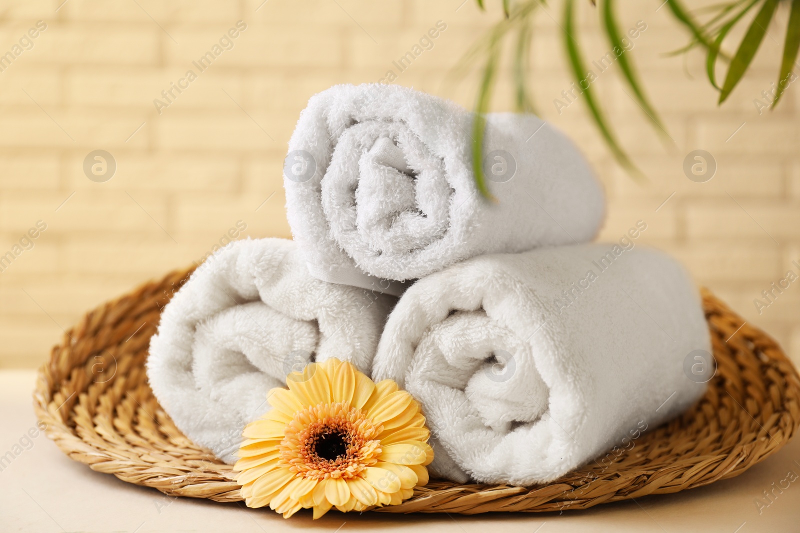 Photo of Rolled terry towels, flower and green leaves on white table near brick wall indoors, closeup