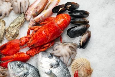 Fresh fish and seafood on ice, flat lay