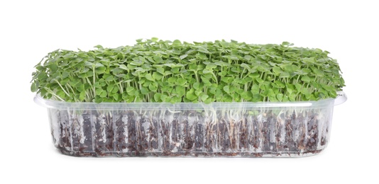 Photo of Fresh organic microgreen in plastic container on white background