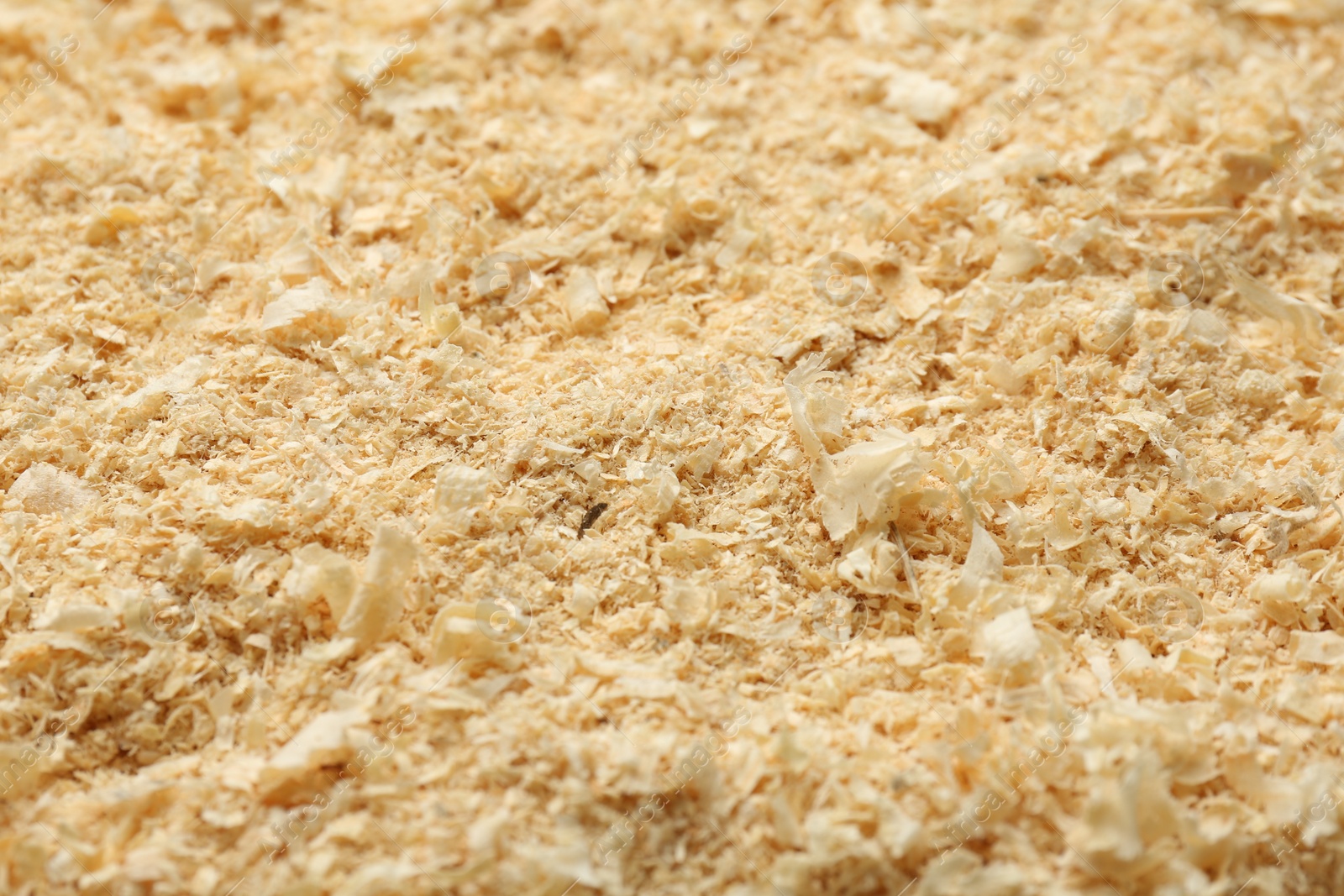 Photo of Dry natural sawdust as background, closeup view