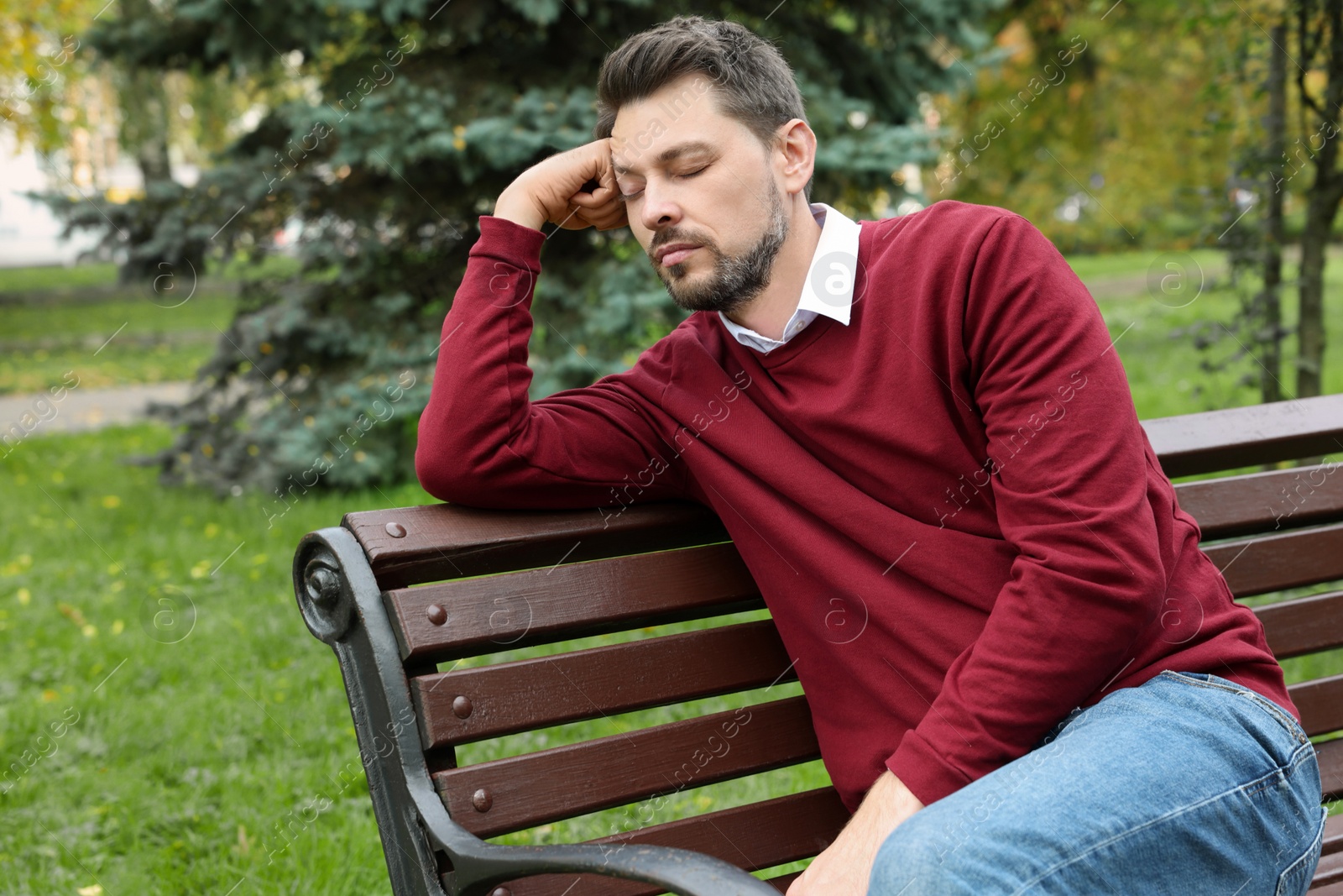 Photo of Tired man sleeping on bench in beautiful green park. Space for text