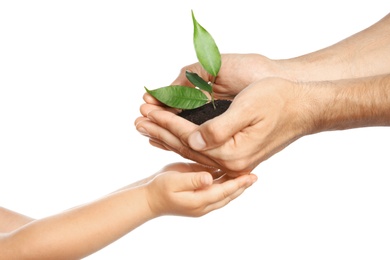 Man passing soil with green plant to his child on white background. Family concept