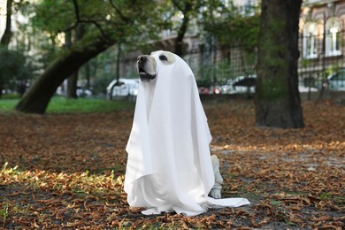 Photo of Cute Labrador Retriever dog wearing ghost costume in autumn park on Halloween