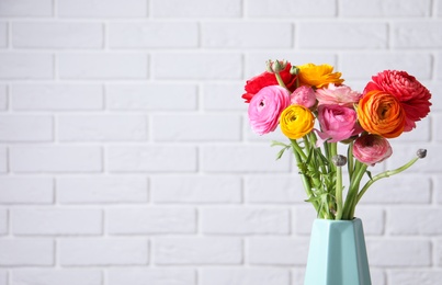 Beautiful fresh ranunculus flowers in vase near white brick wall, space for text