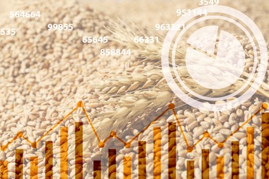 Image of Grain prices. Ears of wheat, seeds and graphs, double exposure