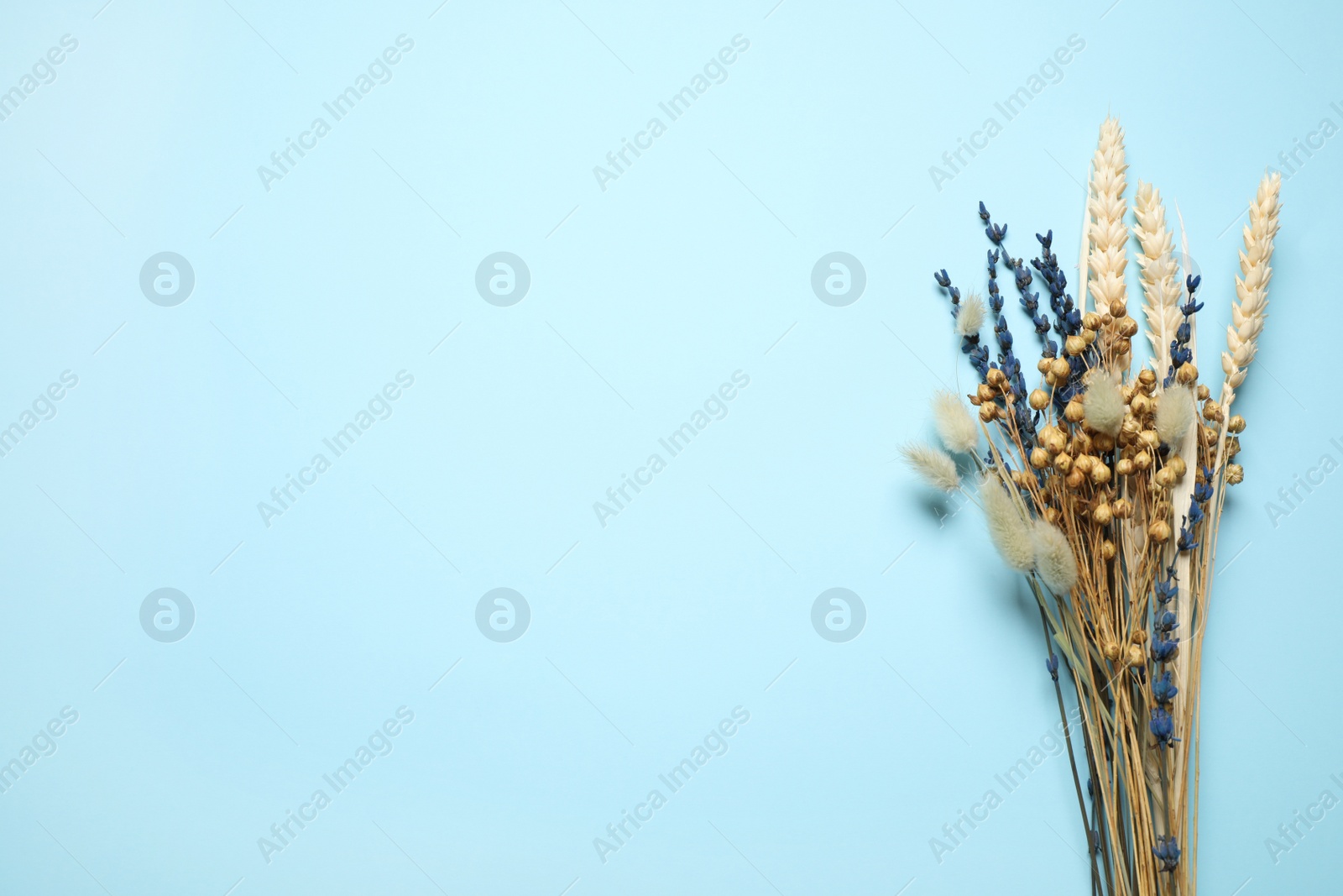 Photo of Bouquet of dried flowers on light blue background, flat lay. Space for text