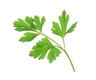 Photo of Leaves of fresh tasty parsley on white background, top view