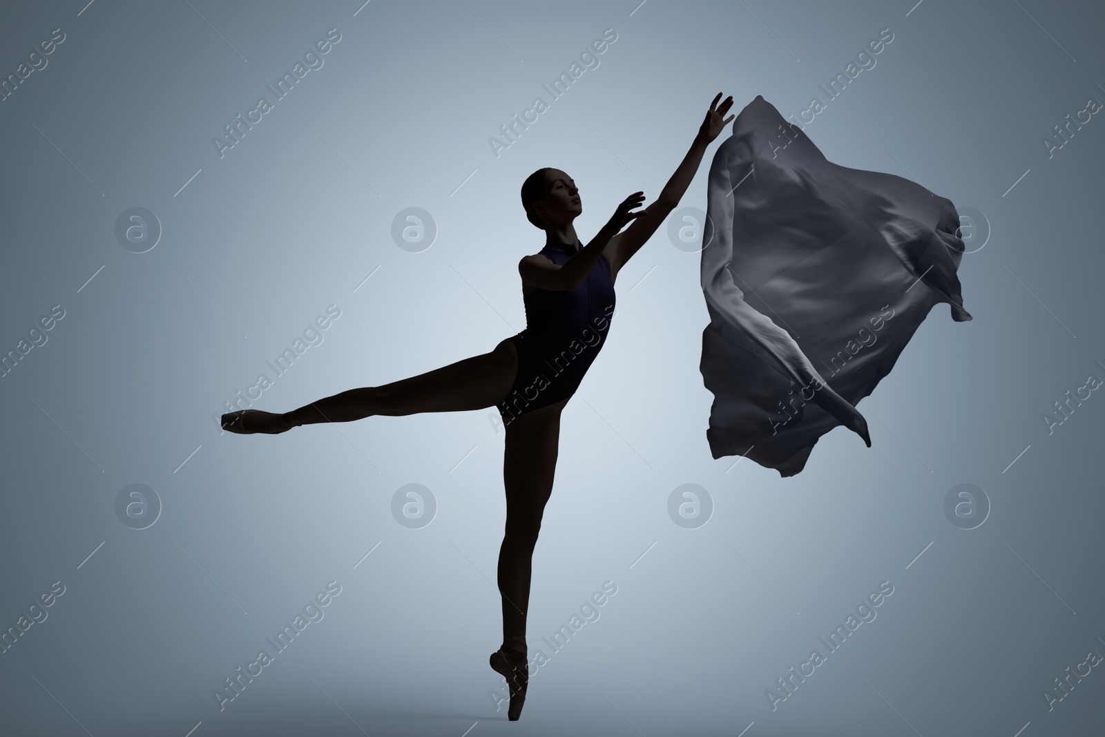 Image of Beautiful ballerina with veil dancing on light grey background. Dark silhouette of dancer