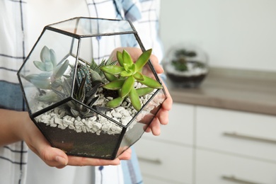 Woman holding florarium with different succulents indoors, closeup. Space for text
