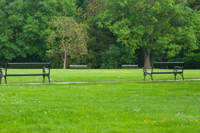 Beautiful view of green lawn and bench in park