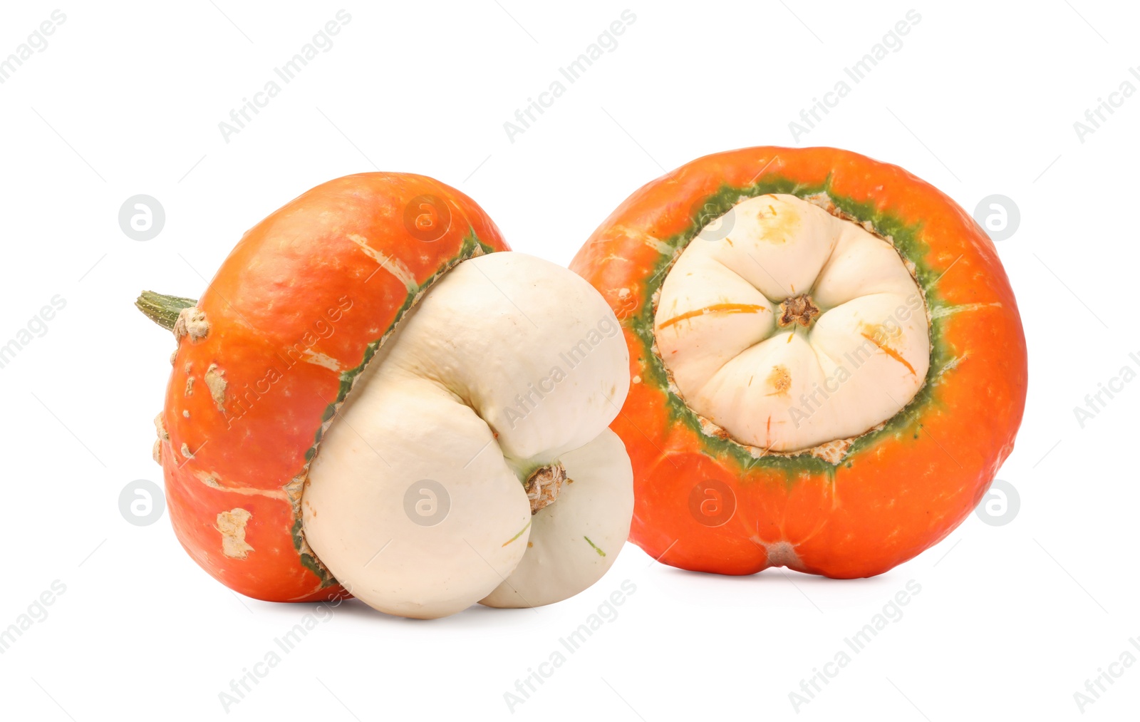 Photo of Two fresh ripe pumpkins isolated on white