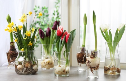 Photo of Beautiful spring flowers in glassware on grey window sill