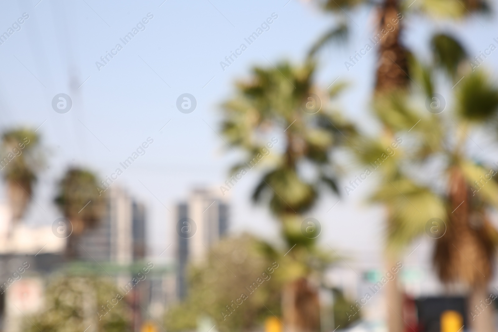 Photo of San Pedro Garza Garcia, Mexico – March 20, 2023: Blurred view of city with buildings and green palms