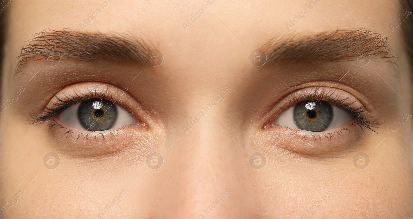 Image of Closeup view of woman with beautiful eyes. Banner design