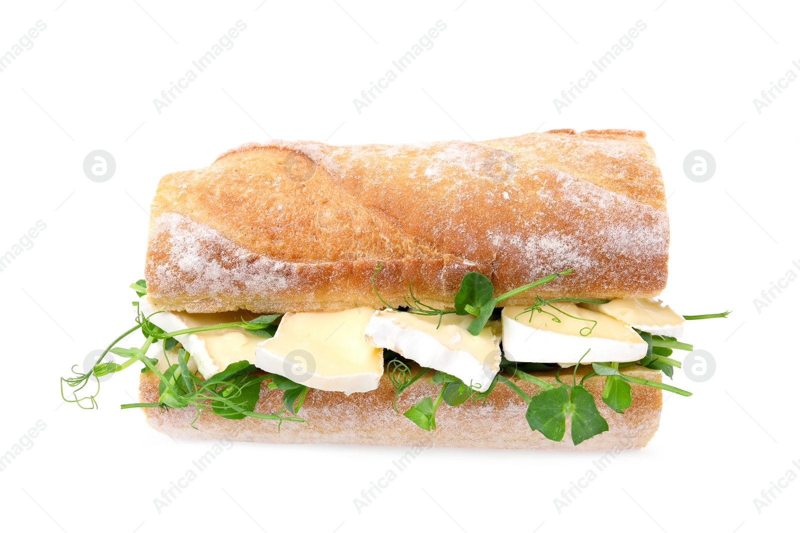 Photo of Tasty sandwich with brie cheese isolated on white