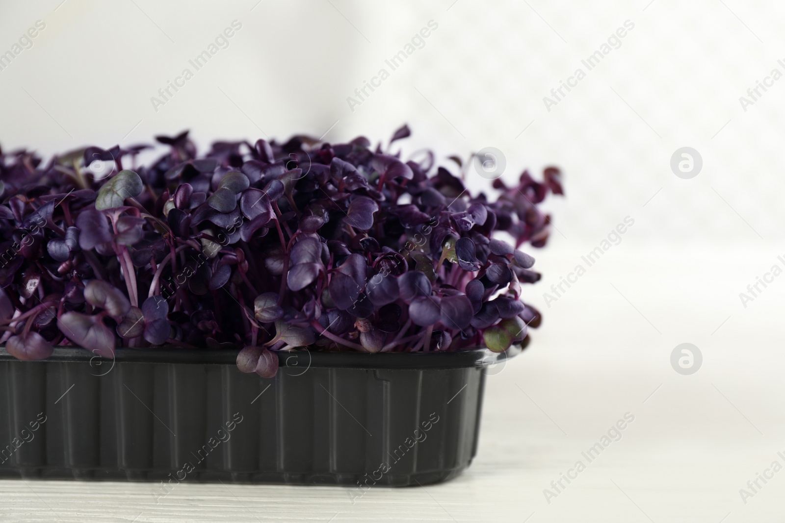 Photo of Fresh radish microgreens in plastic container on white wooden table, closeup