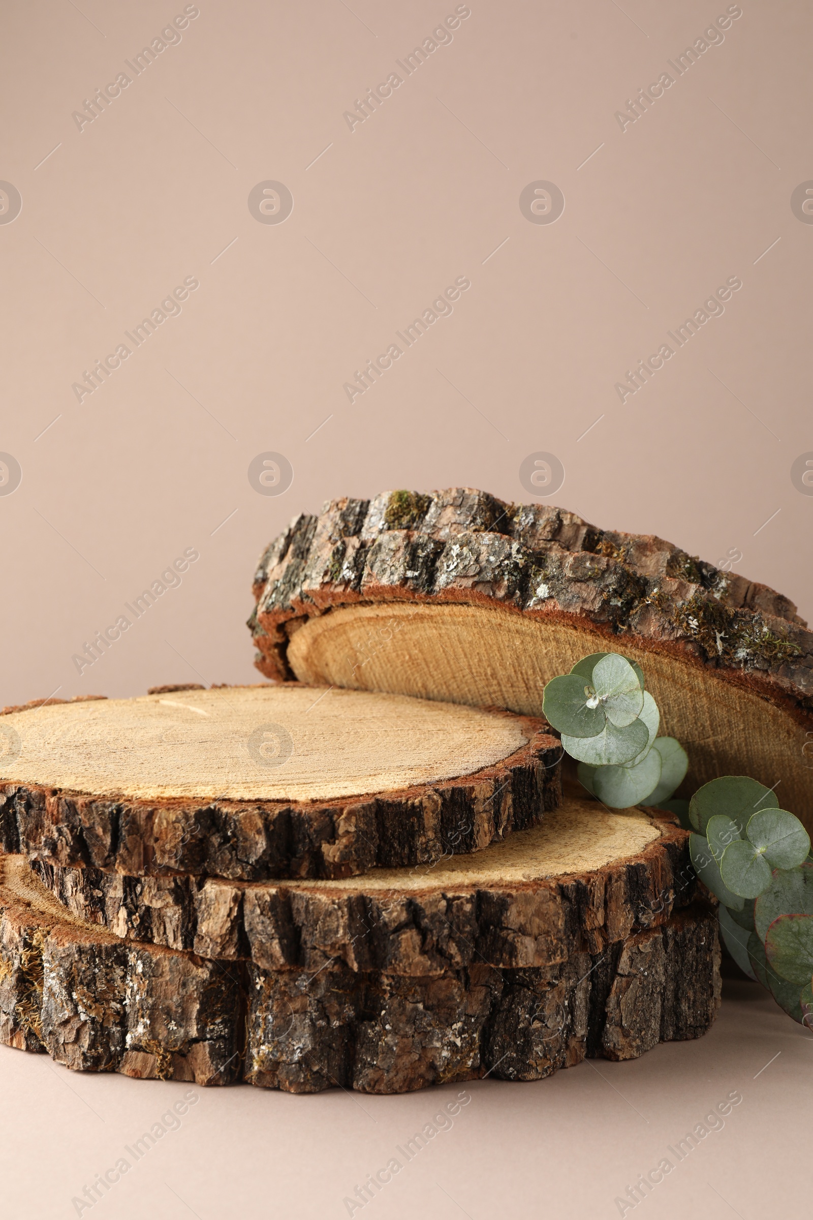 Photo of Presentation for product. Wooden stumps and eucalyptus branches on beige background. Space for text