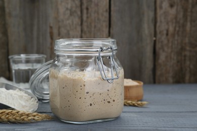 Photo of Leaven, flour, water and ears of wheat on grey wooden table, space for text