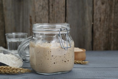 Leaven, flour, water and ears of wheat on grey wooden table, space for text