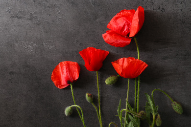 Photo of Beautiful red poppy flowers on grey stone background, flat lay