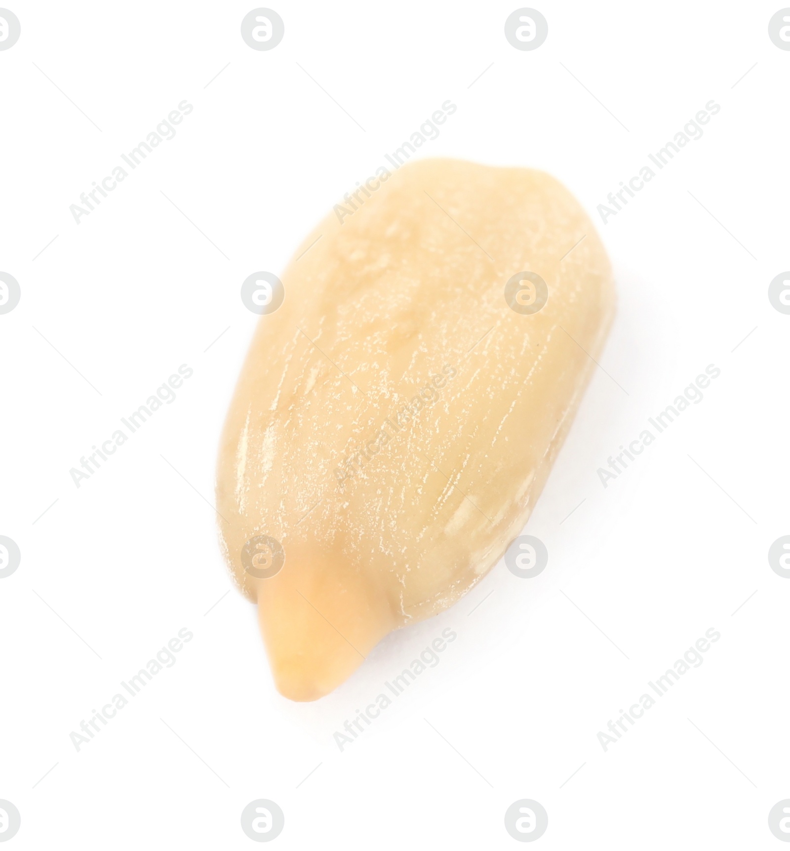 Photo of Raw peeled sunflower seed isolated on white