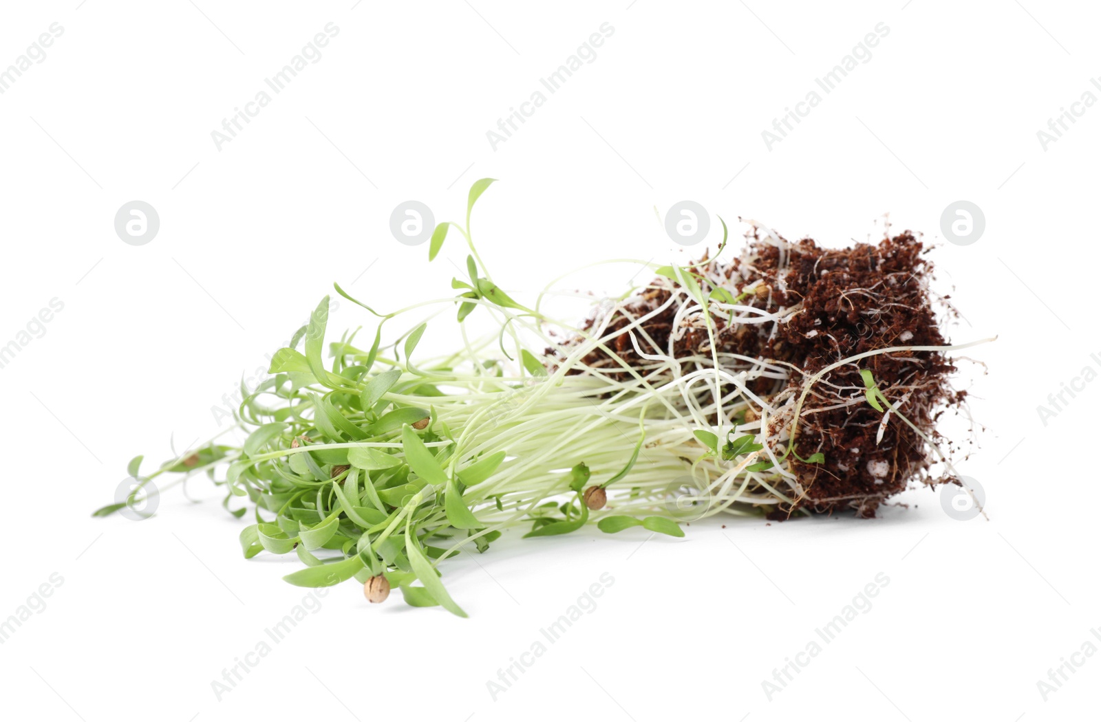 Photo of Fresh organic microgreen seeds on white background