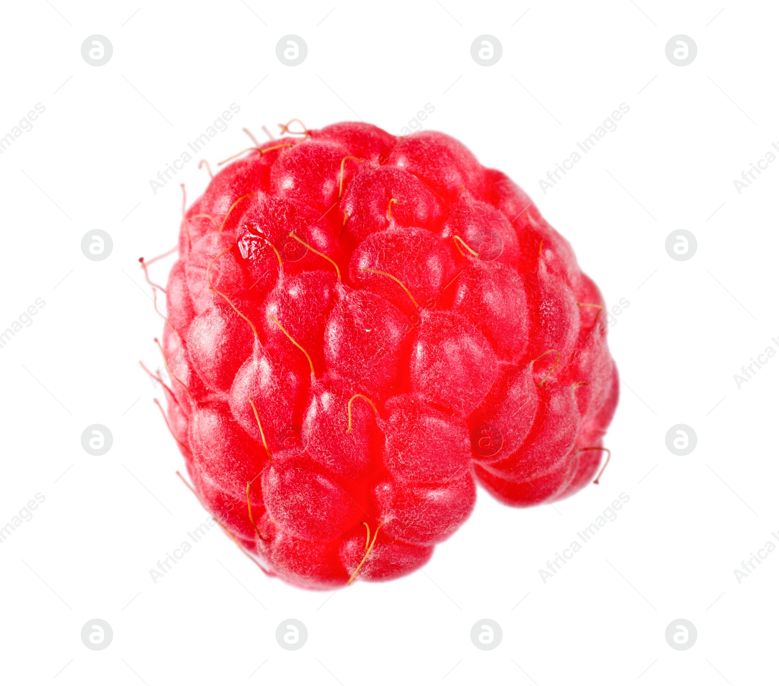 Photo of One tasty ripe raspberry isolated on white