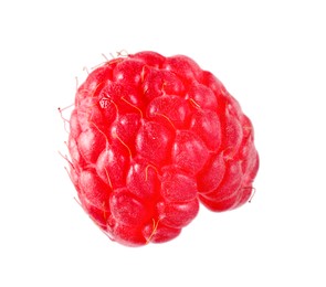 One tasty ripe raspberry isolated on white