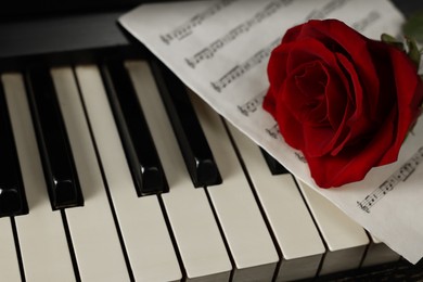 Beautiful red rose and musical notes on piano keys, closeup. Space for text